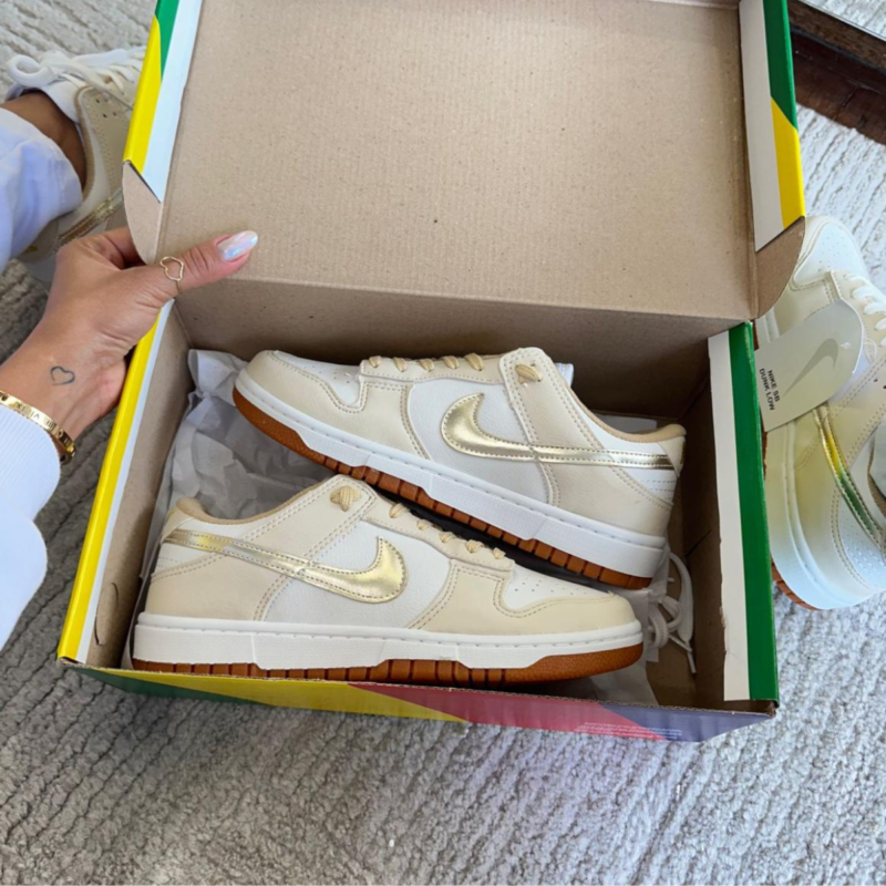 Tênis dunk Low Retro DV0822-100